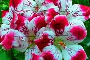 OK jigsaw puzzle