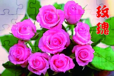 èŠ±ç³» jigsaw puzzle