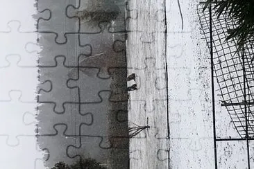  jigsaw puzzle
