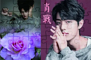  jigsaw puzzle
