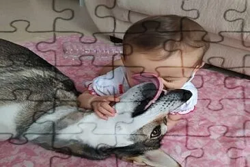 complice jigsaw puzzle