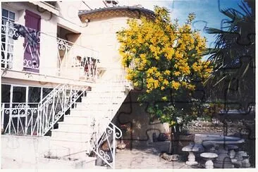 פאזל של mimosa