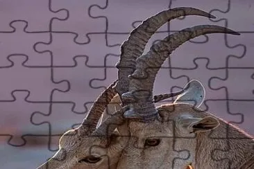 CENÃRIO K242 jigsaw puzzle