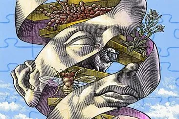 DNA Corpo Humano