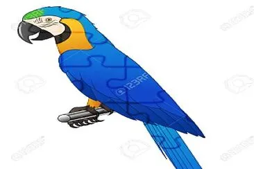 blue macaw puzzle jigsaw puzzle