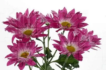 TufÄƒnica jigsaw puzzle
