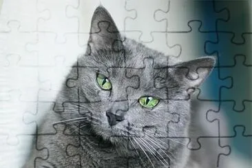 Miguel Ãngel Camacho jigsaw puzzle