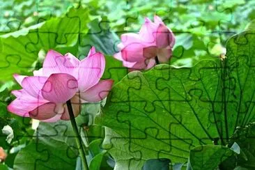 imagem jigsaw puzzle