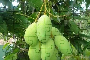  jigsaw puzzle