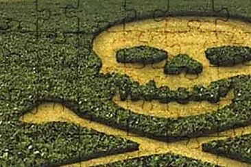 Foto jigsaw puzzle