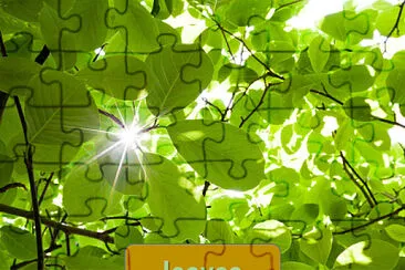 leaves jigsaw puzzle