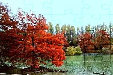 rimini jigsaw puzzle