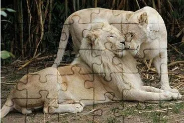 imagem jigsaw puzzle