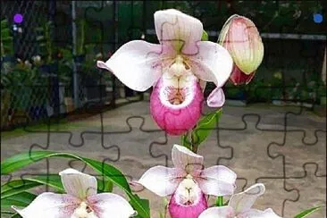imagem jigsaw puzzle