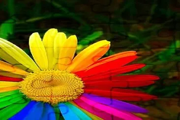 Colorful Flower jigsaw puzzle