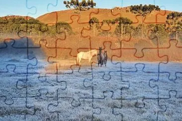 imagem jigsaw puzzle