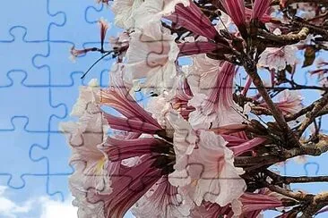 imagem jigsaw puzzle