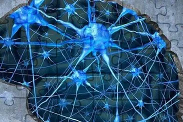 sinapsis jigsaw puzzle