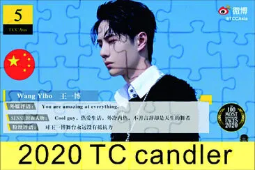 Chinese actor Wang Yibo jigsaw puzzle