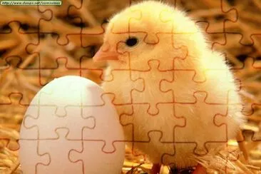  jigsaw puzzle