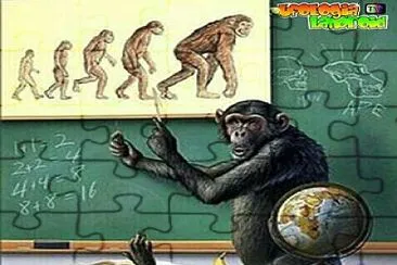 aula jigsaw puzzle