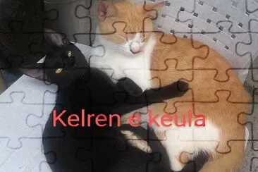 Meus amores jigsaw puzzle