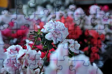 OK jigsaw puzzle