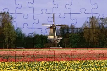  jigsaw puzzle