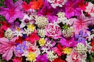 OK jigsaw puzzle