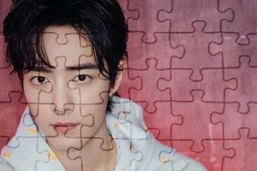 Chinese actor Xiao Zhan