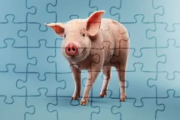 Cerdo jigsaw puzzle