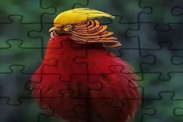 CENÃRIO K288 jigsaw puzzle
