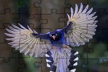 CENÃRIO K291 jigsaw puzzle