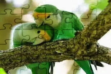 imagem jigsaw puzzle