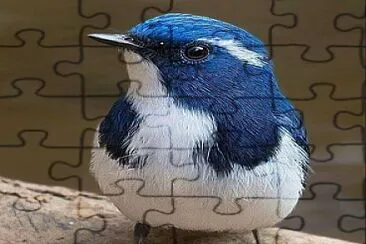 CENÃRIO K292 jigsaw puzzle