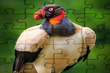 CENÃRIO K293 jigsaw puzzle