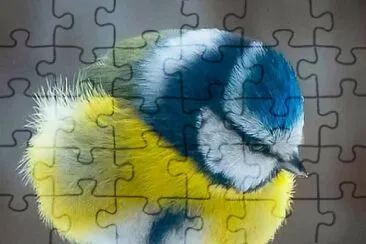 CENÃRIO K294 jigsaw puzzle