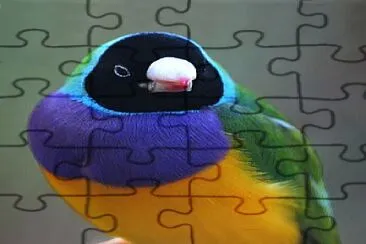 Bird jigsaw puzzle