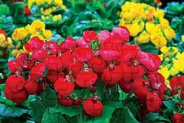 OK jigsaw puzzle