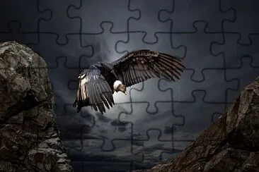  jigsaw puzzle