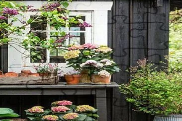 ventana jigsaw puzzle
