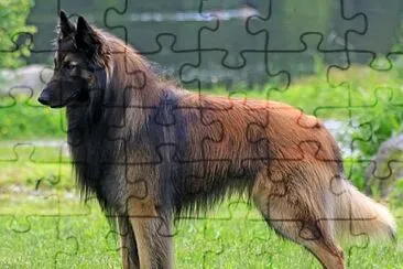  jigsaw puzzle