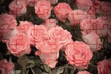 OK jigsaw puzzle