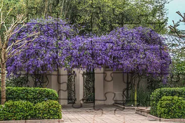 imagem jigsaw puzzle