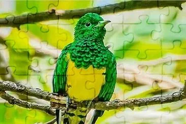 imagem jigsaw puzzle
