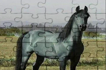cheval jigsaw puzzle