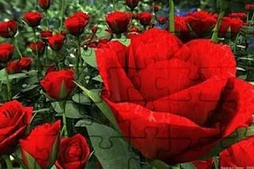 OK jigsaw puzzle