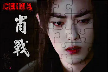 Chinese actor Xiao Zhan jigsaw puzzle