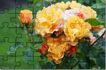 OK jigsaw puzzle