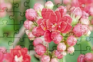 OK jigsaw puzzle